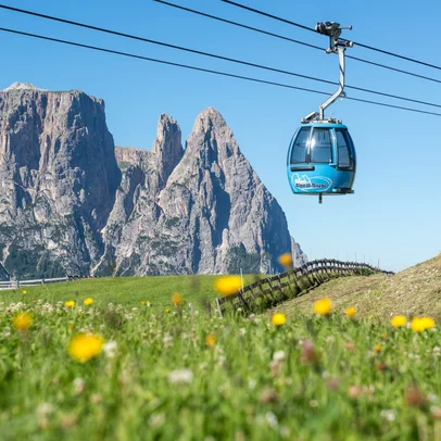 Blue gondola of the Alpe di Siusi cable car hovering over flower meadow with yellow buttercups in front of pointed Dolomite peaks
