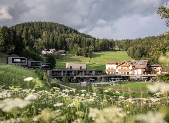 Idyllisches Südtiroler Bergdorf mit traditionellen und modernen Gebäuden, umgeben von Blumenwiesen und Nadelwald