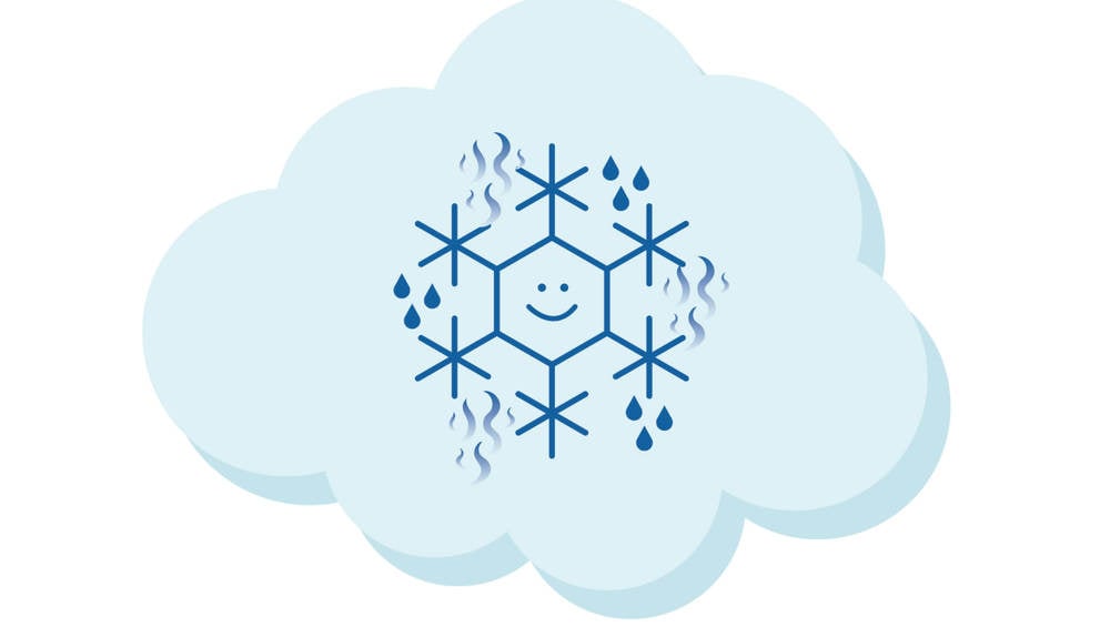 Die Schneeflocke