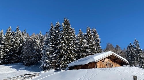 Malga Moschwald
