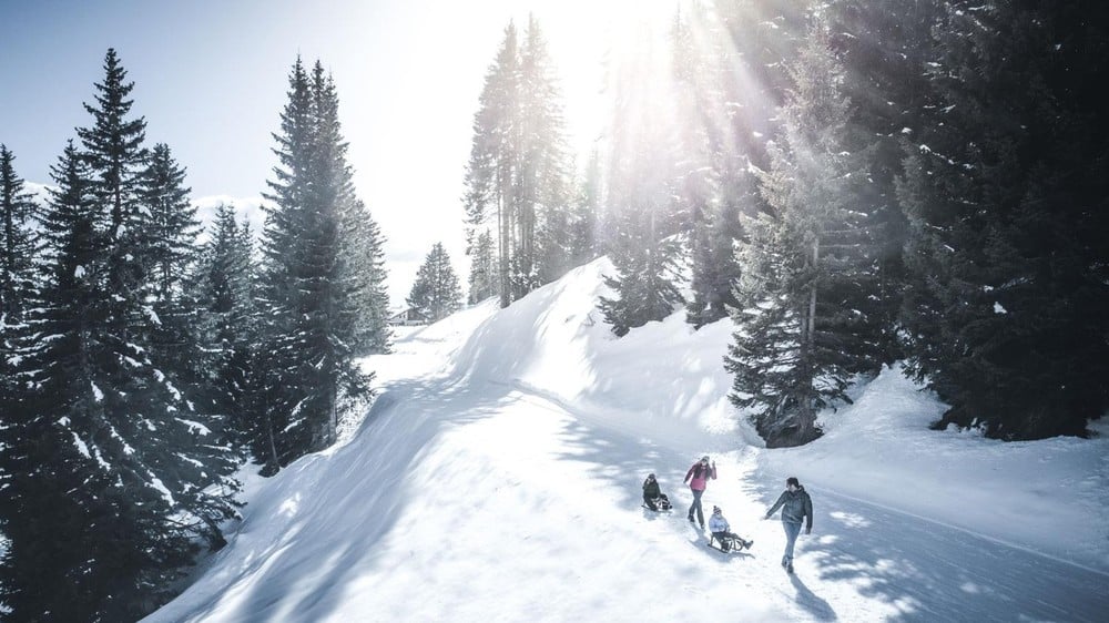 Winterwandern