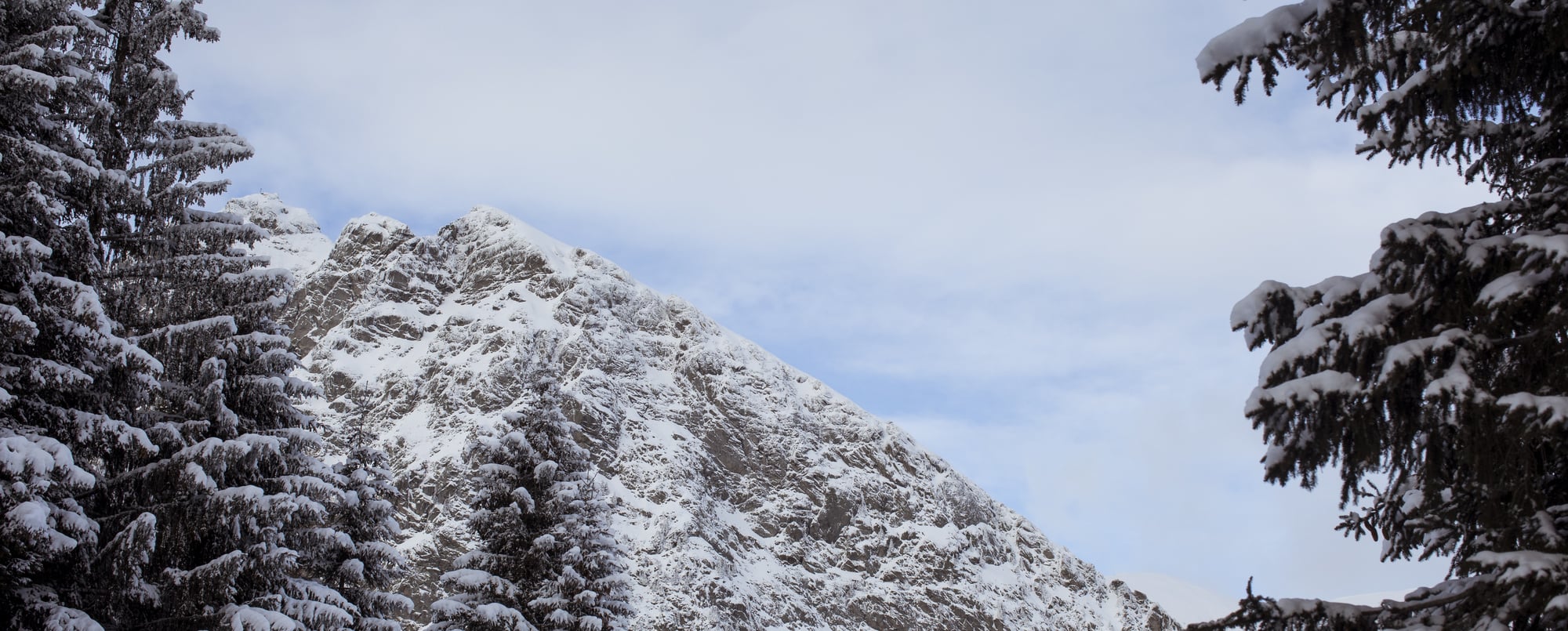 Nel respiro <br> dell'inverno