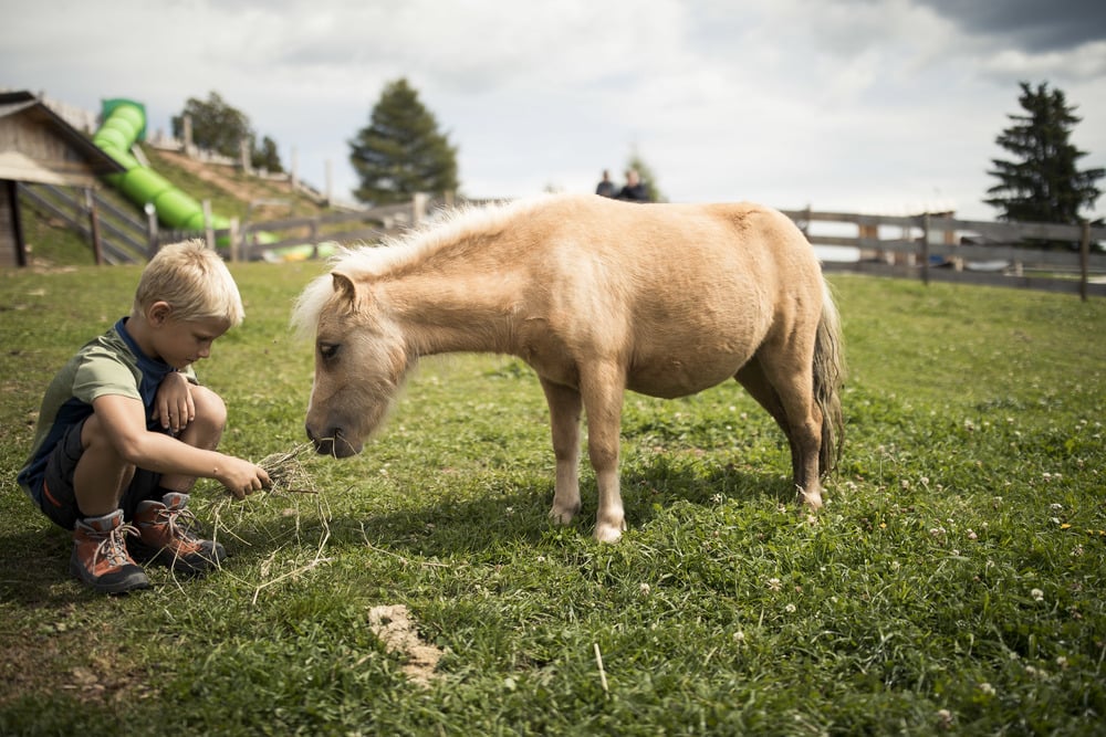 Mini Ranch Kids