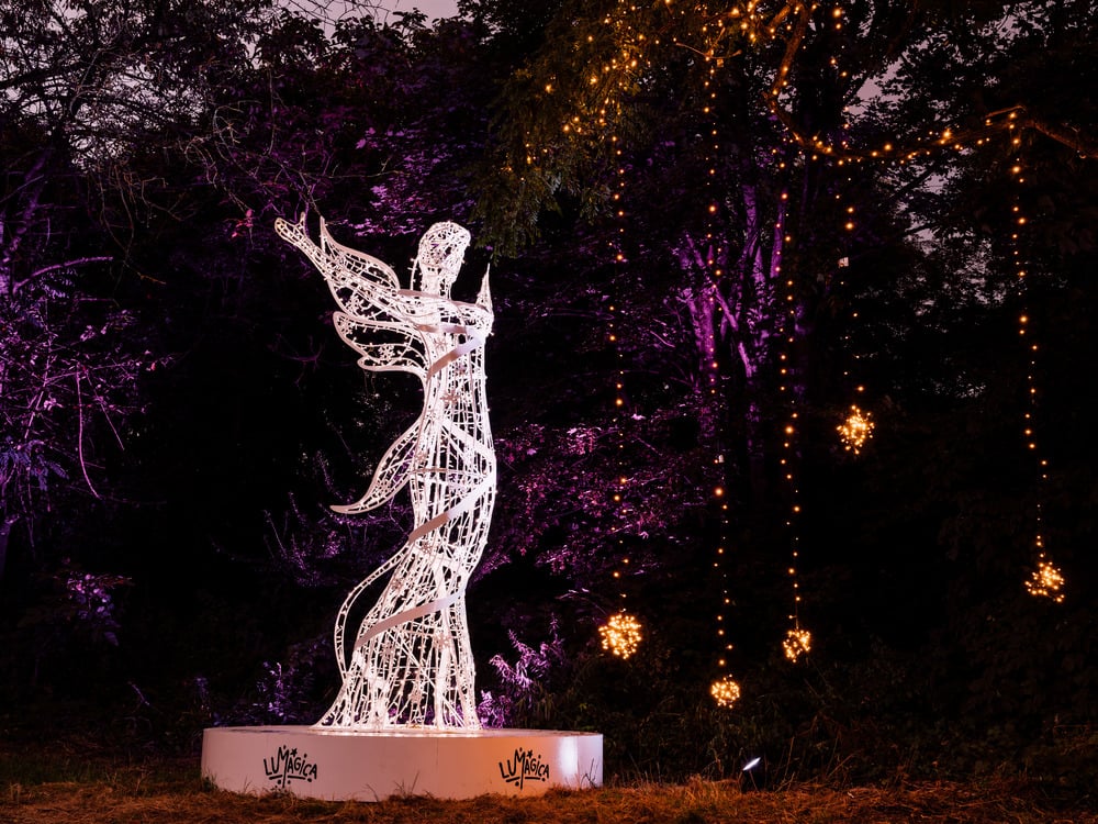 MAGIC IN THE<br>LIGHT PARK