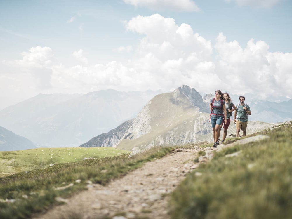 GUIDED HIKES