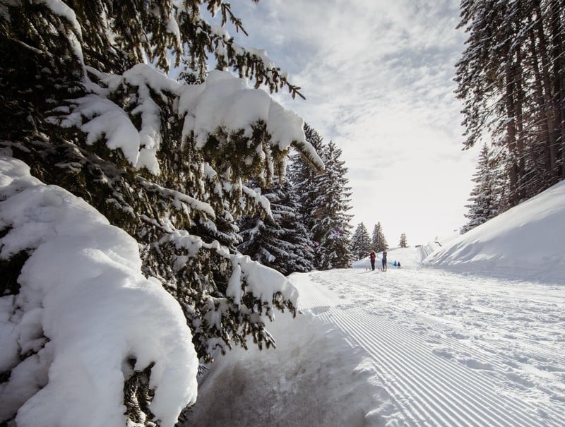 Schneebericht